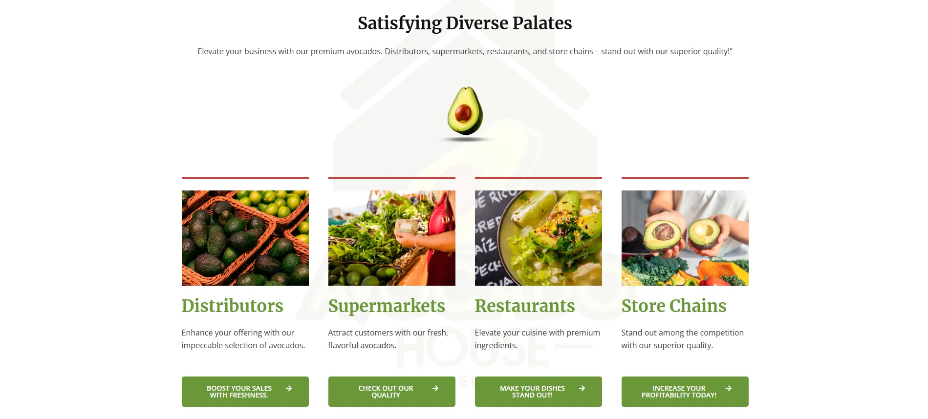 Web development example: Avocado supply chain website showcasing distribution for supermarkets, restaurants, and store chains.