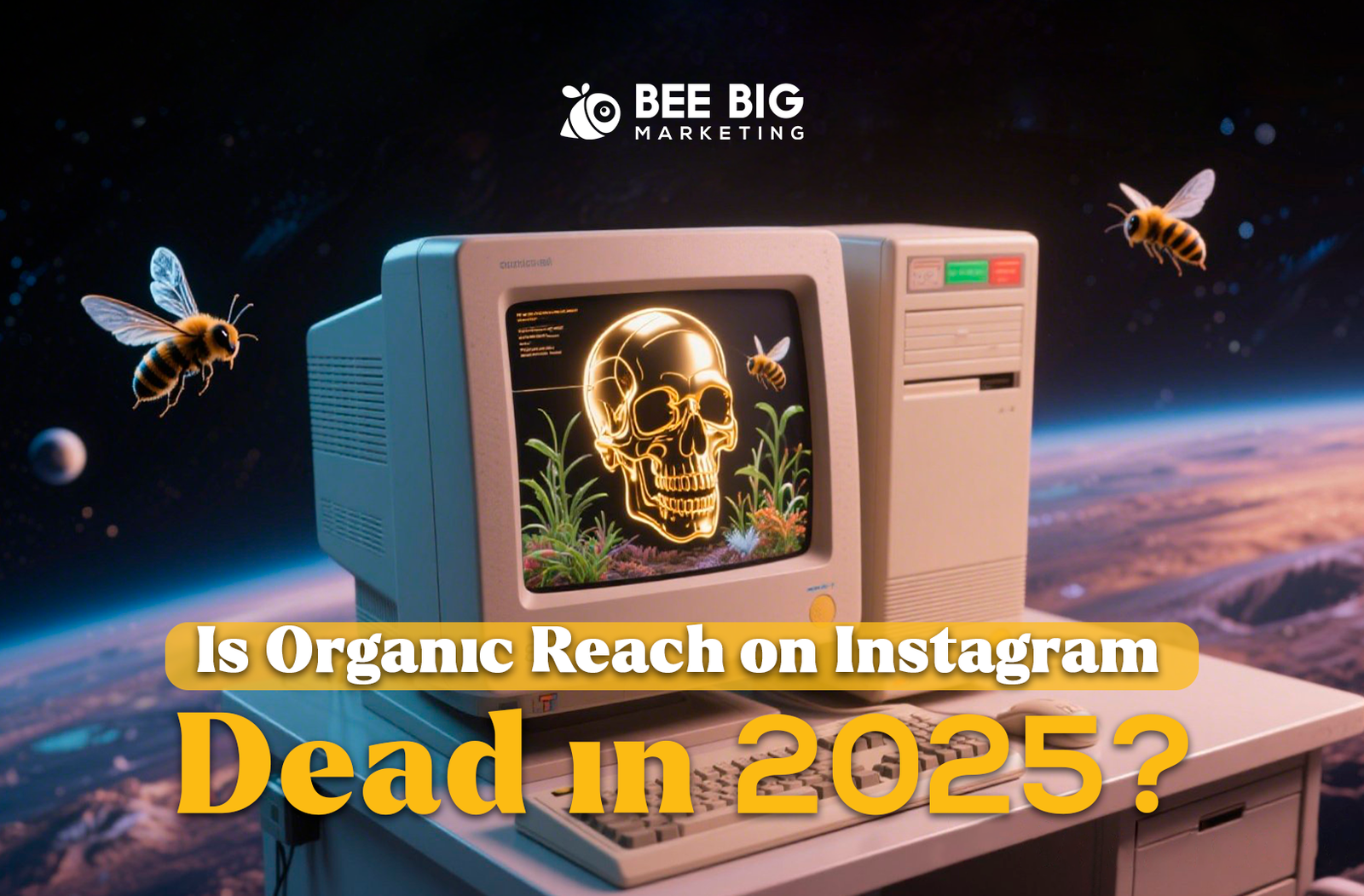 Is Organic Reach on Instagram Dead in 2025?